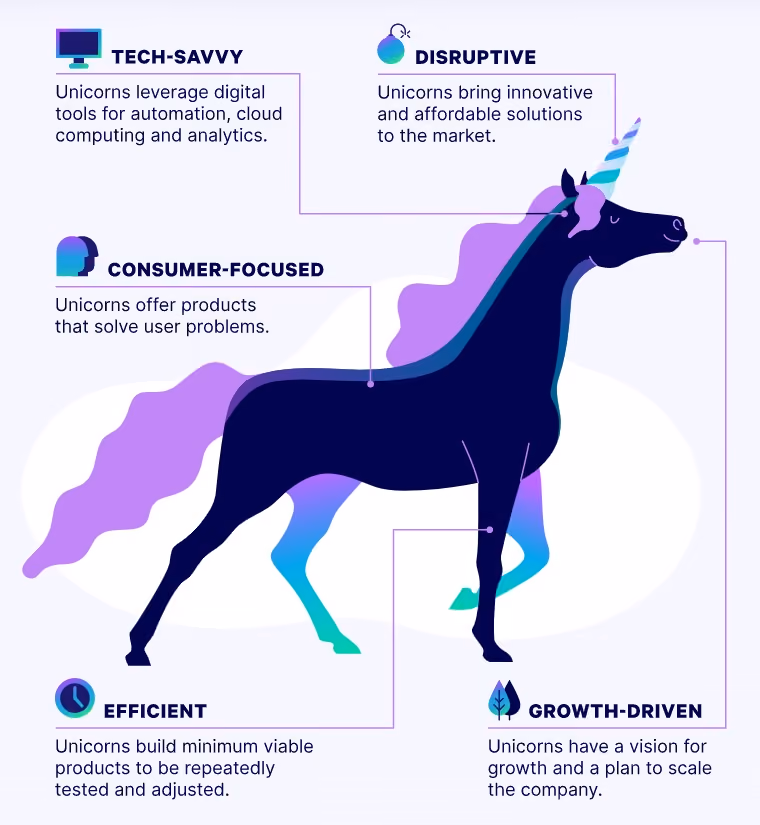how to spot a unicorn