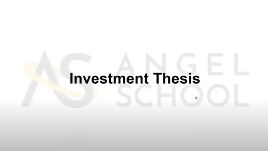Investment Thesis