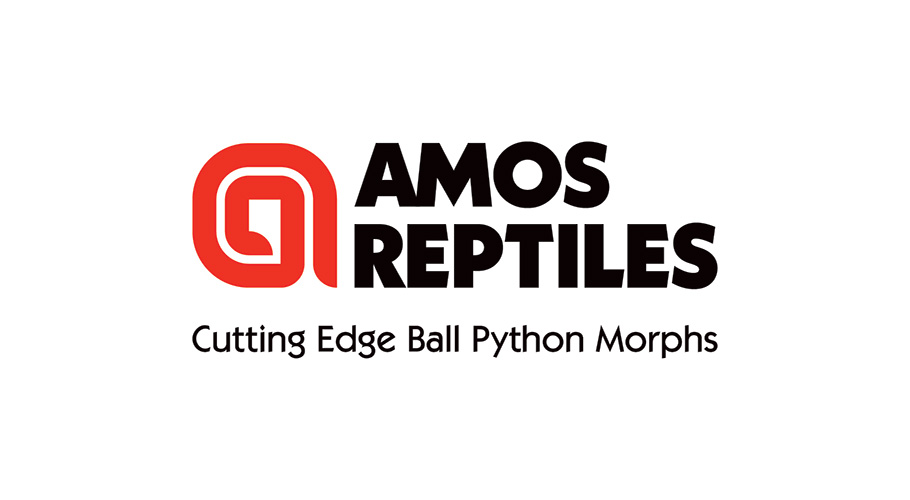 Amos Reptiles Cutting Edge Ball Python Morphs