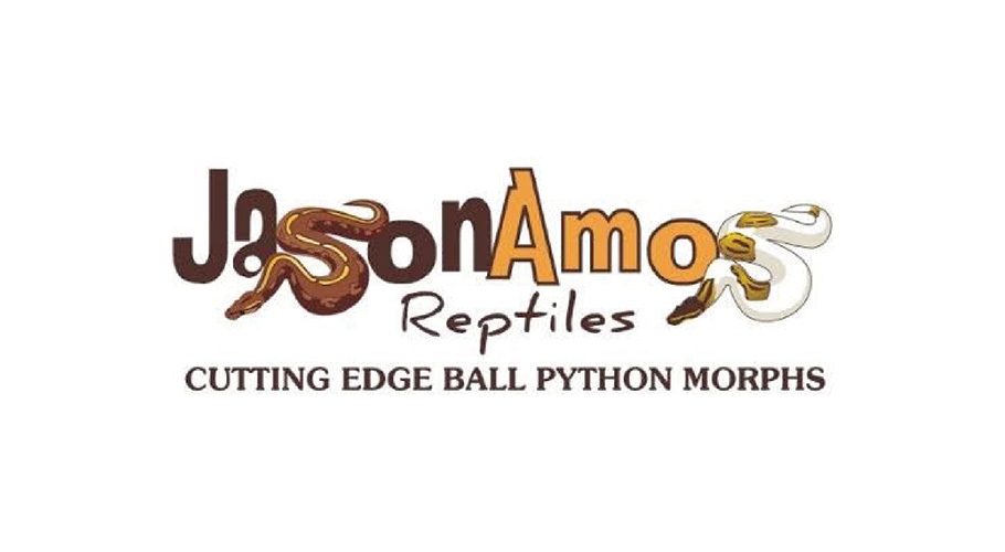 Jason Amos Reptiles Cutting Edge Ball Python Morphs