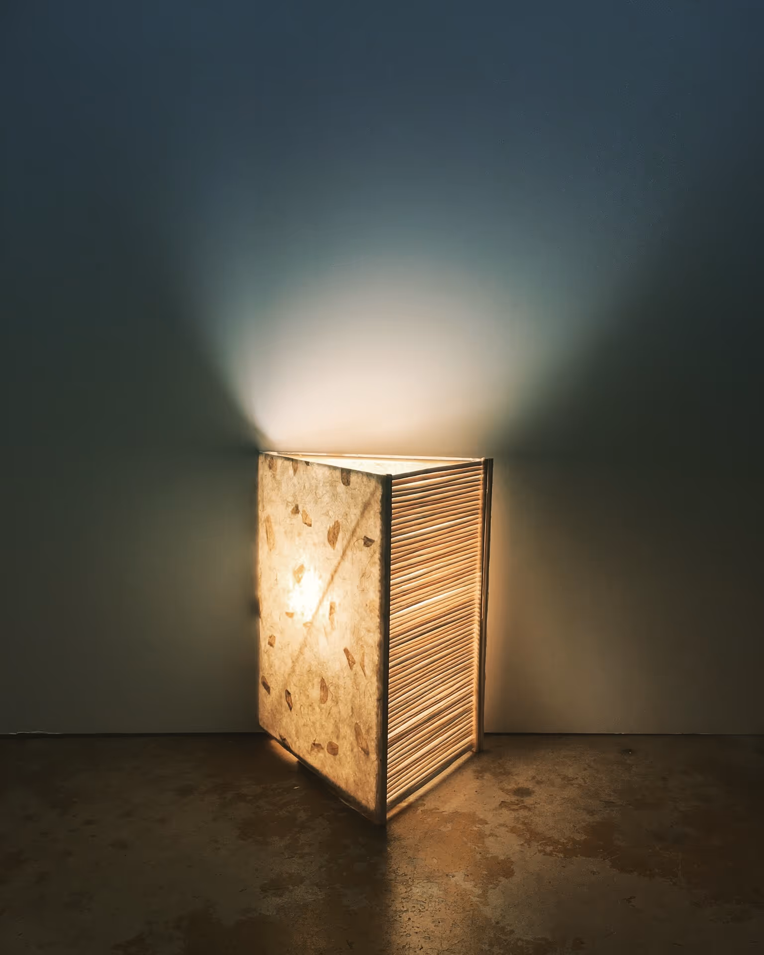 Portfolio Image