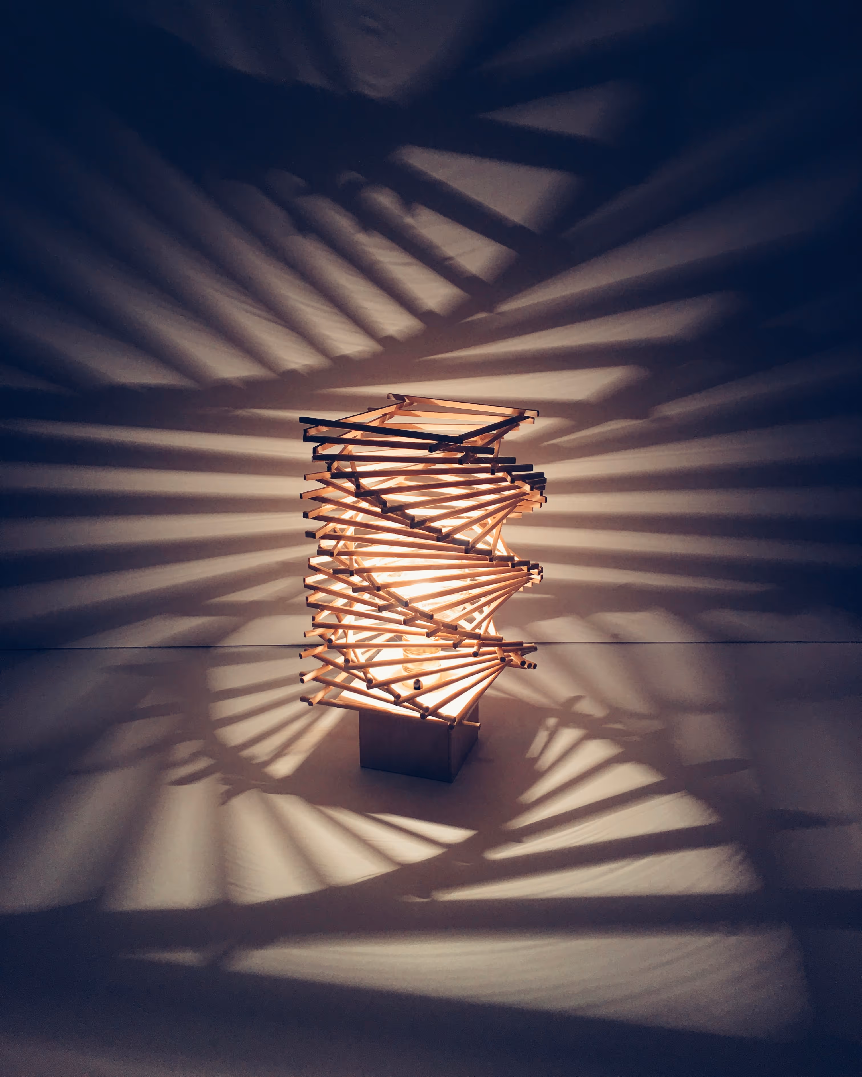 Portfolio Image