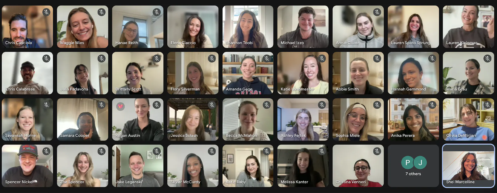Grid of people working at Dreamday in a video call, some with muted microphone icons visible.