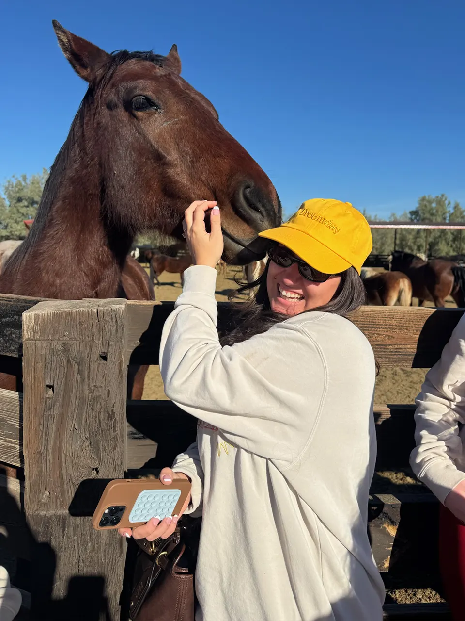Dreamday team member in yellow cap pets brown horse over wooden fence on sunny day.