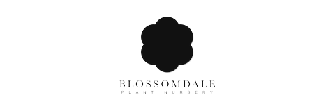 Blossomdale