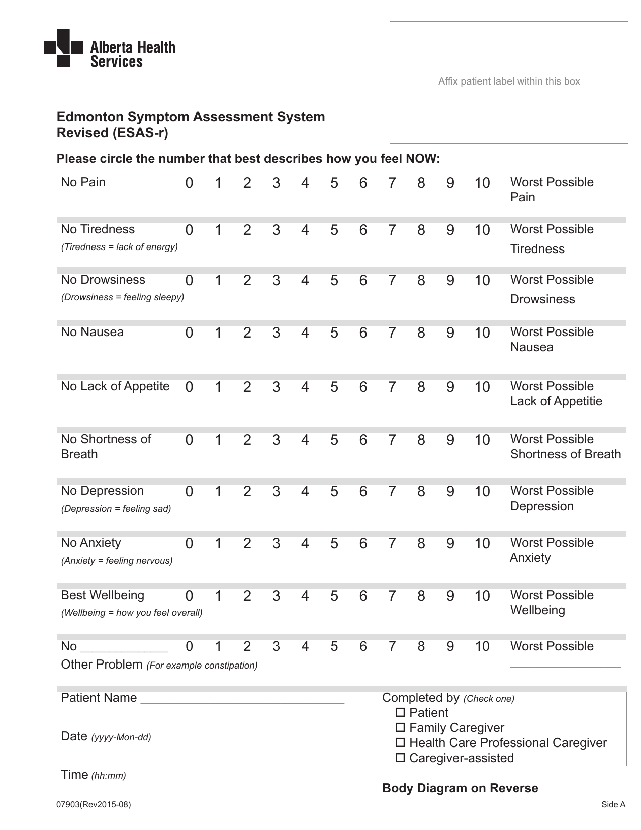 Edmonton Symptom Assessment System (ESAS) clinical PDF form for assessing symptom severity