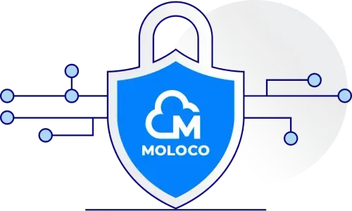 Grey and blue security badge with the Moloco logo on the inside.
