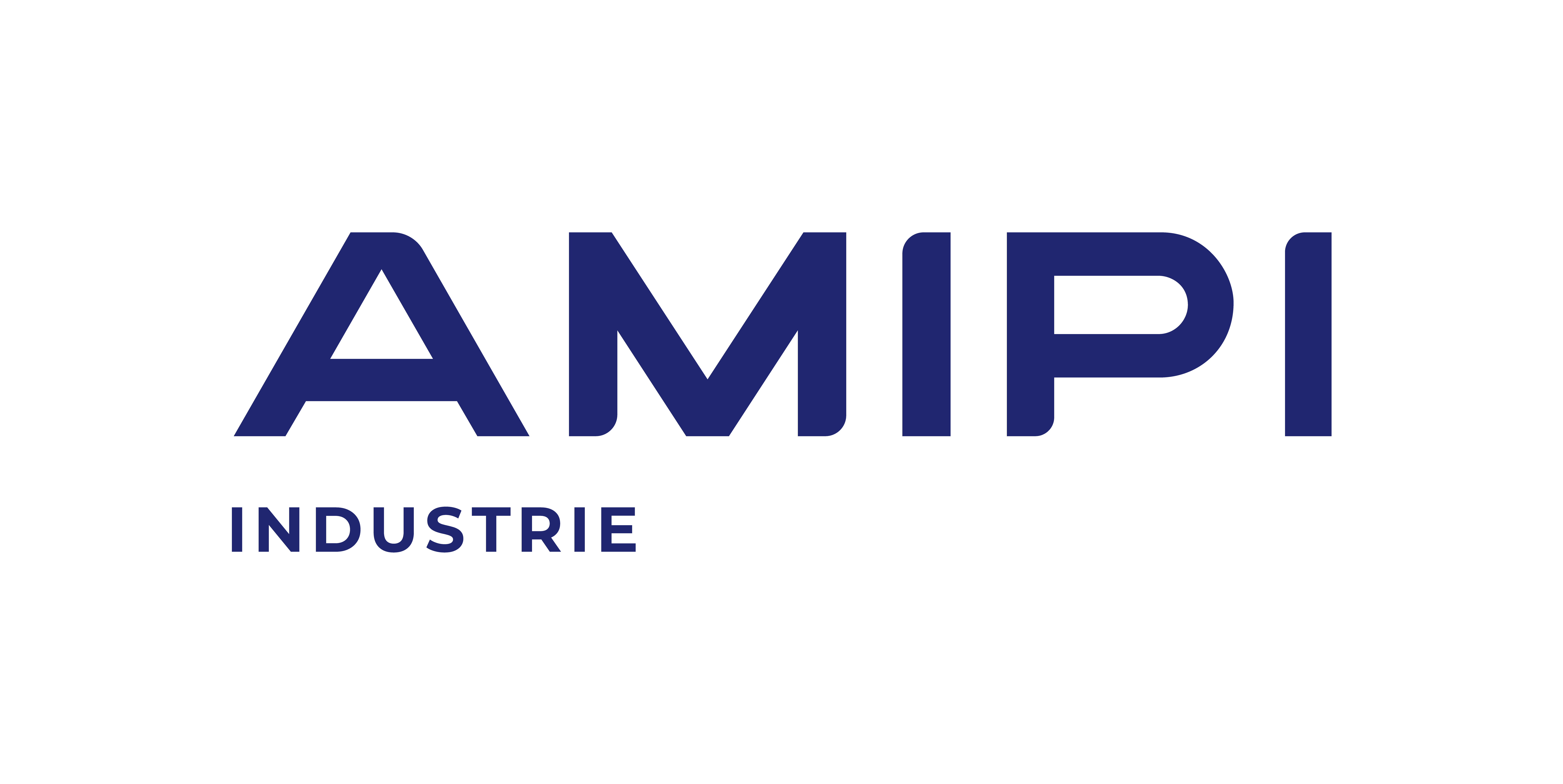 FONDATION AMIPI BERNARD VENDRE