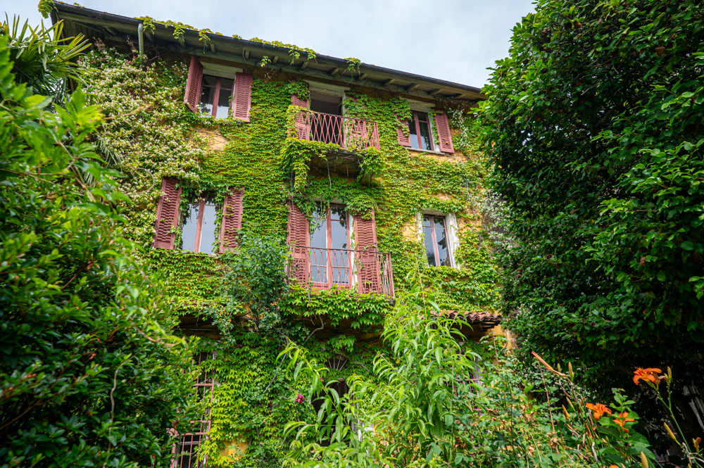 Incantevole proprietà storica a Vignone.
