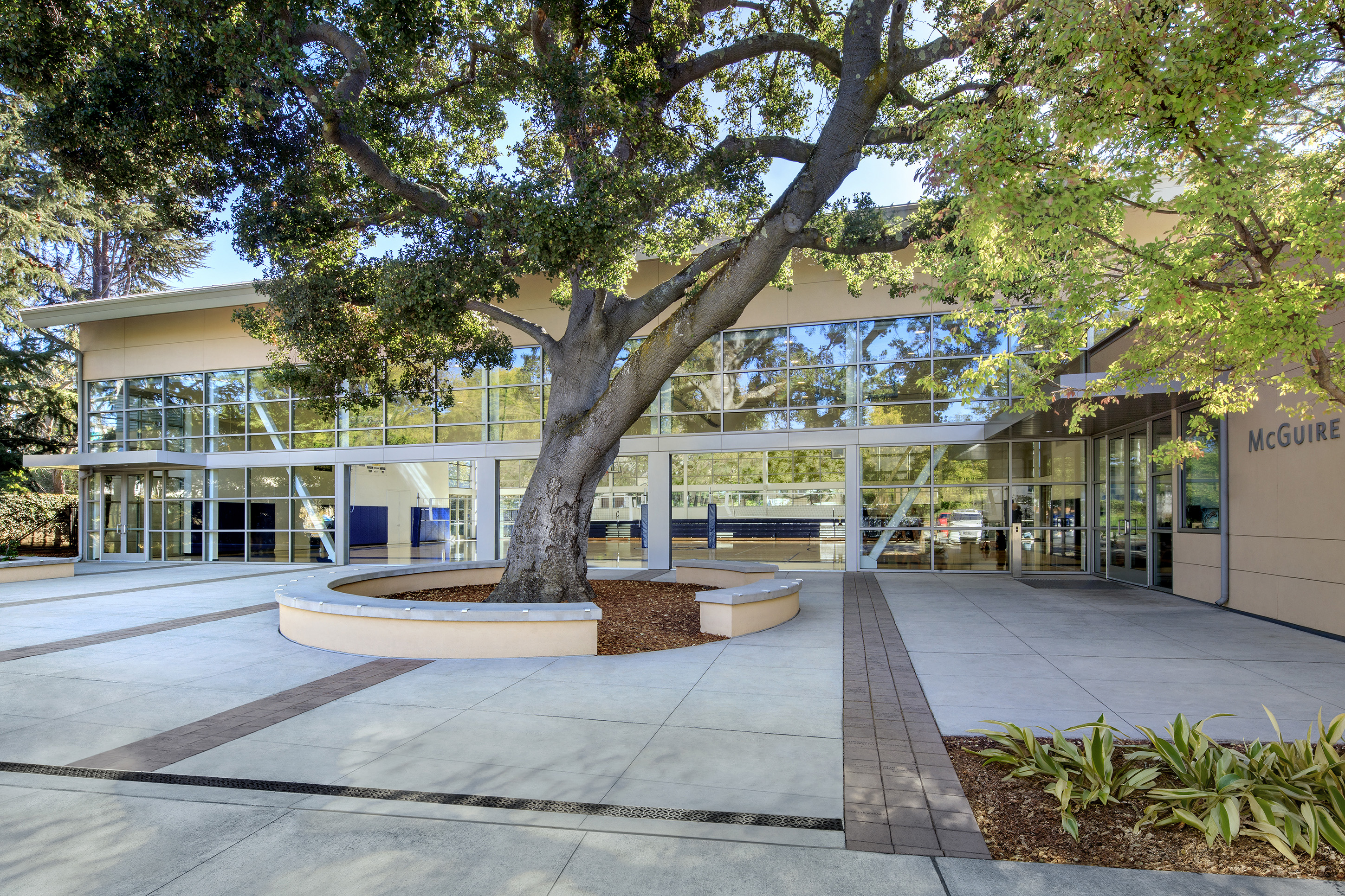 St. Matthew Catholic School | Gymnasium