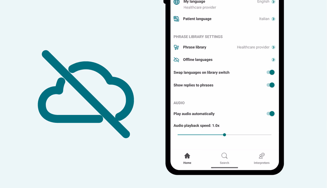 Part of a mobile device screen showing app settings in Care to Translate, with an offline mode icon next to it.
