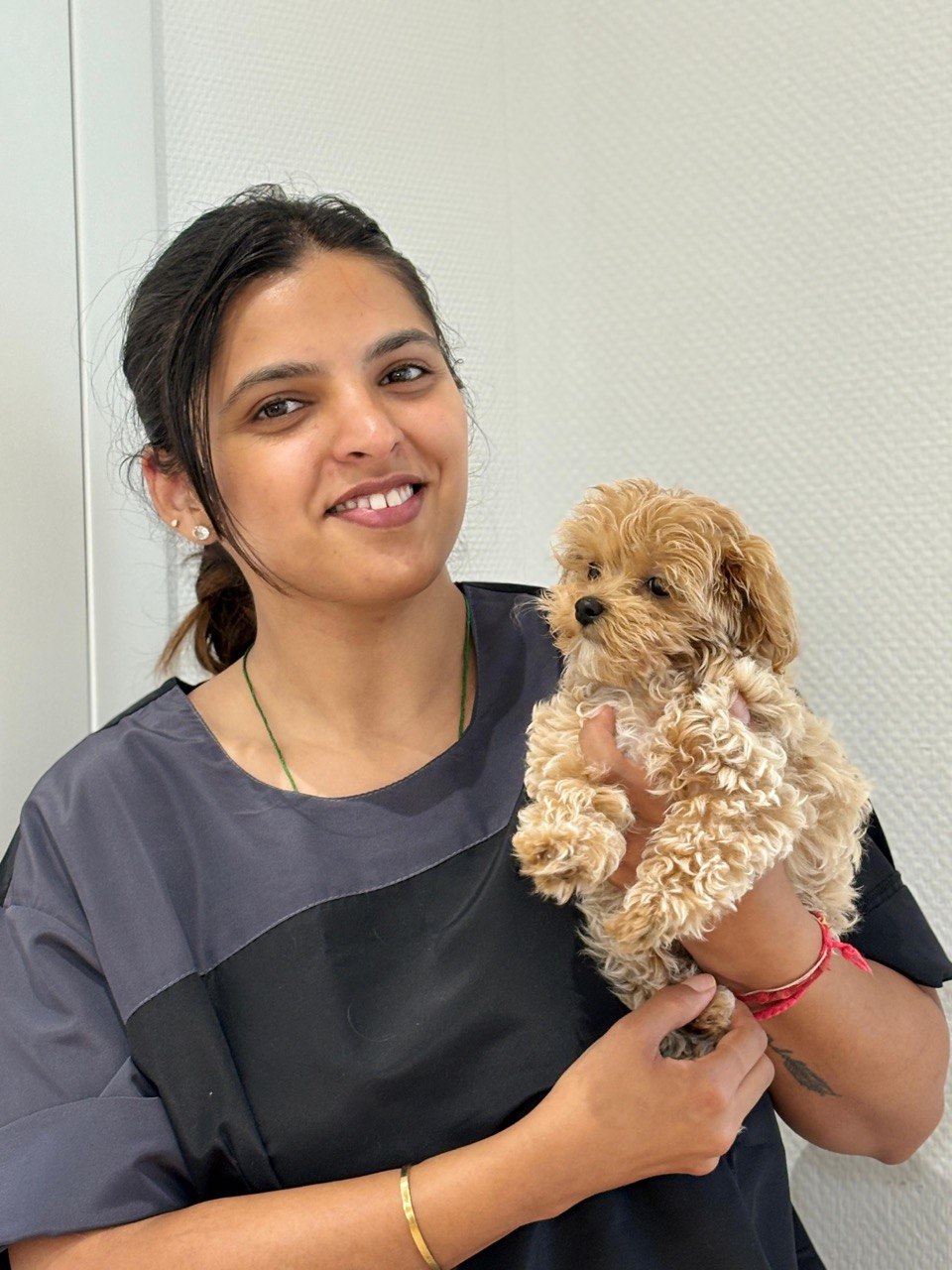 Hunde Katzen Salon