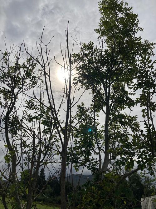 Euroforest building the road to success