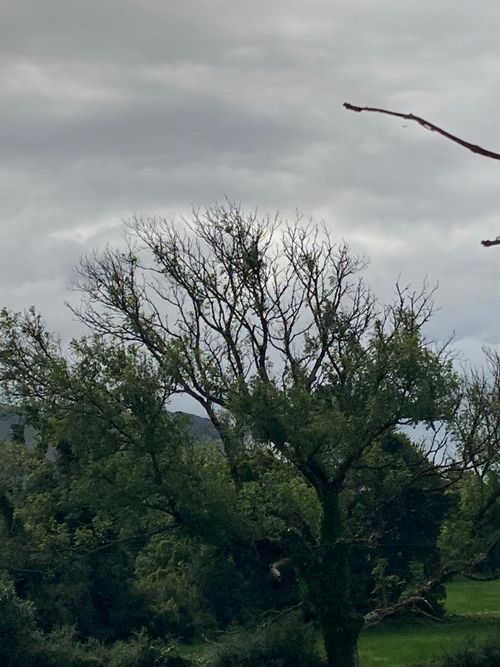 Euroforest building the road to success