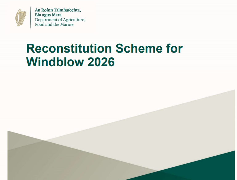 Euroforest building the road to success