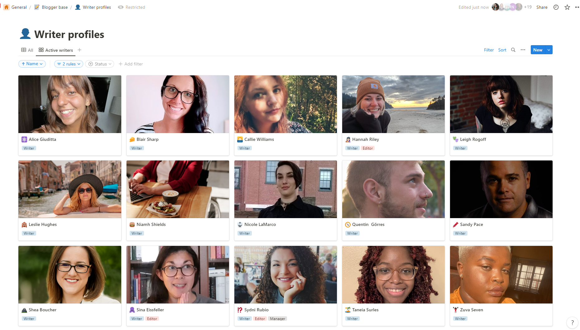 screenshot of kanban board view on notion