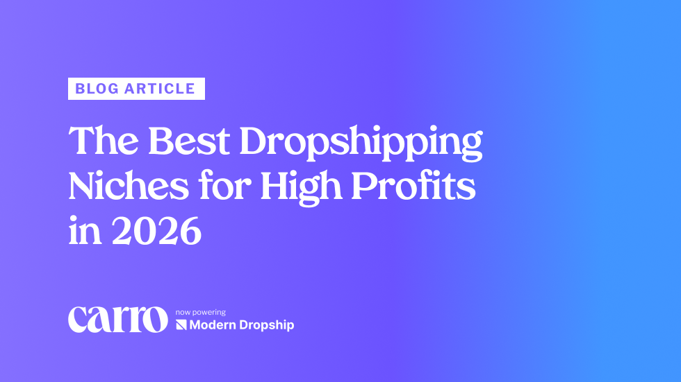 a thumbnail for a blog article focused on the best dropshipping niches for high profits