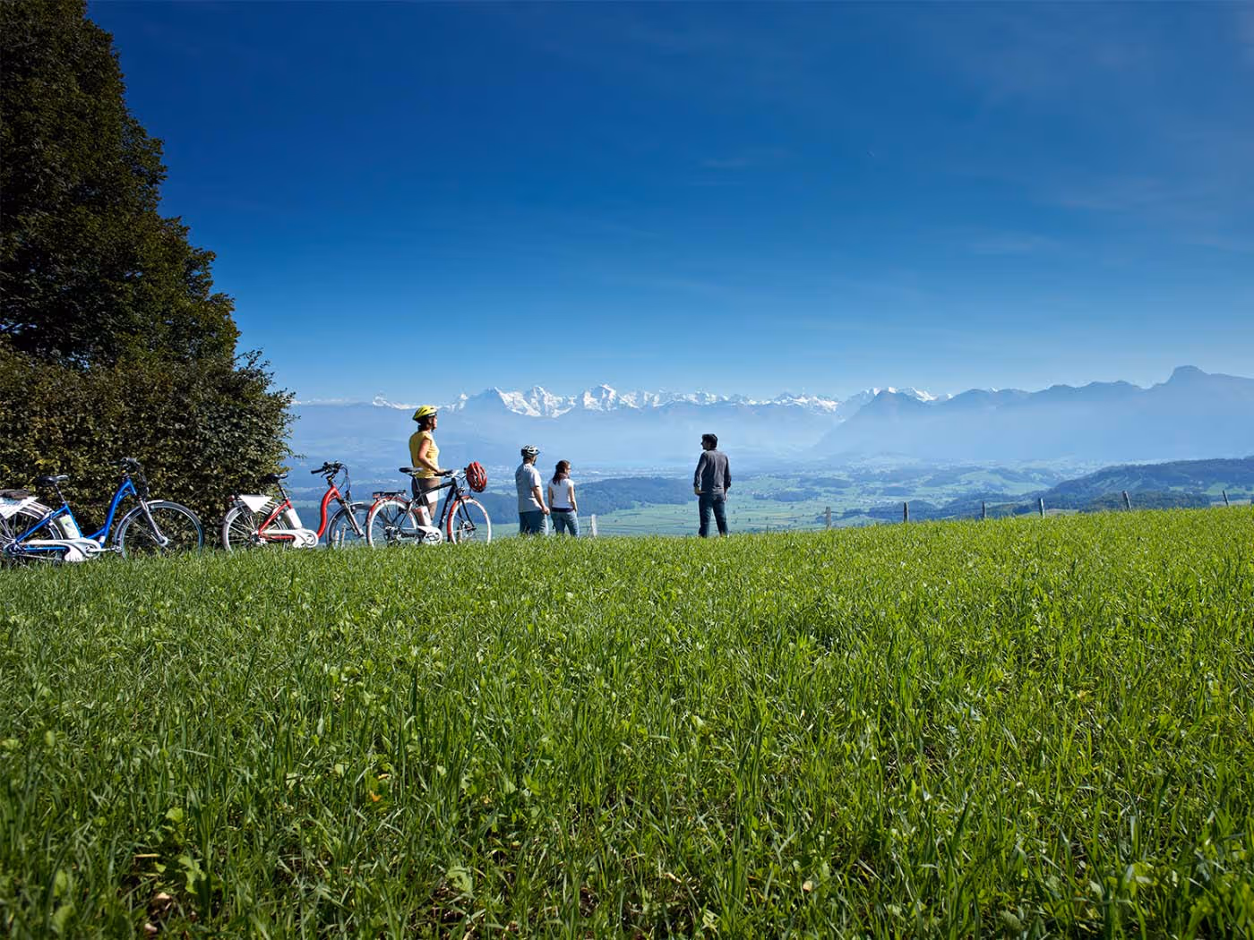 berge
