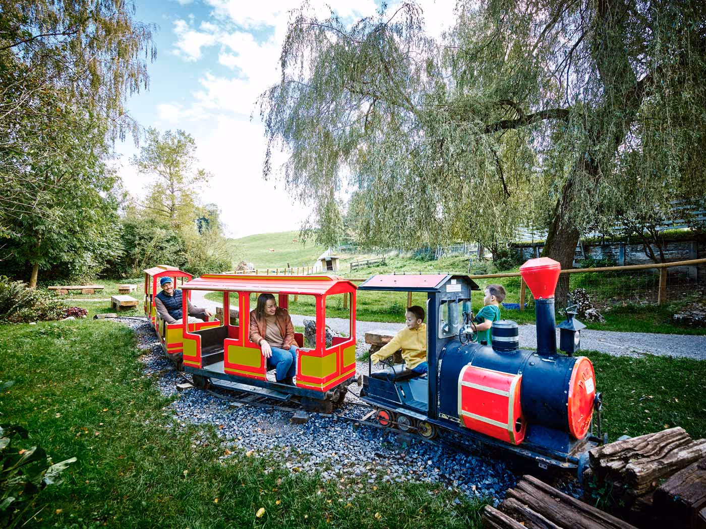 train