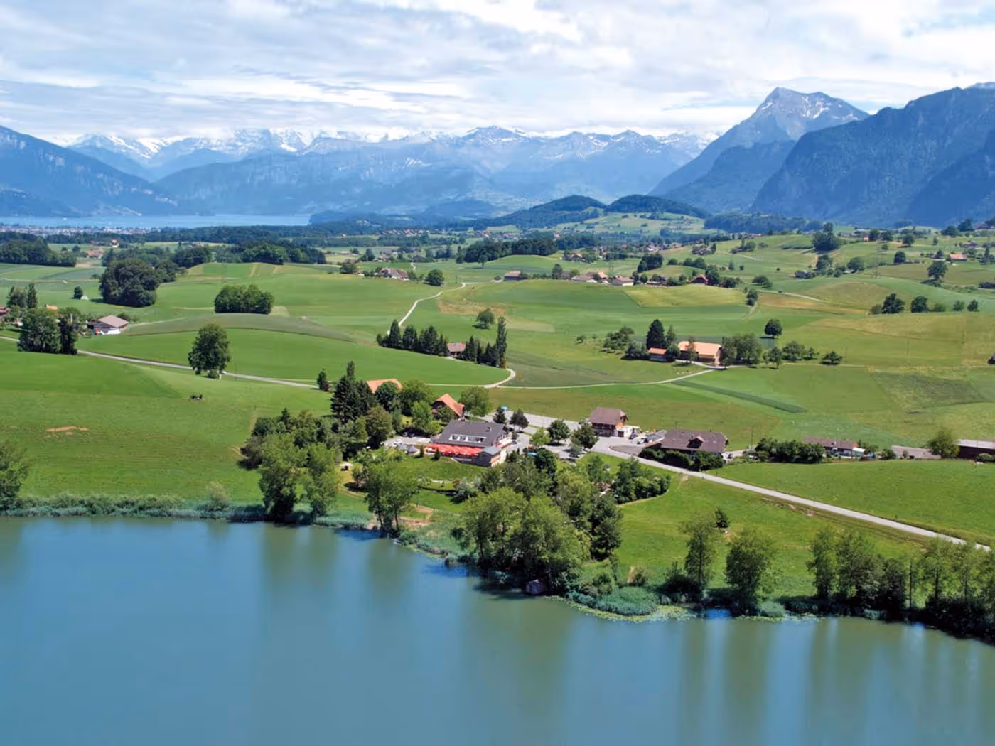 Hauenstein-Hotels_Ours_grizzly