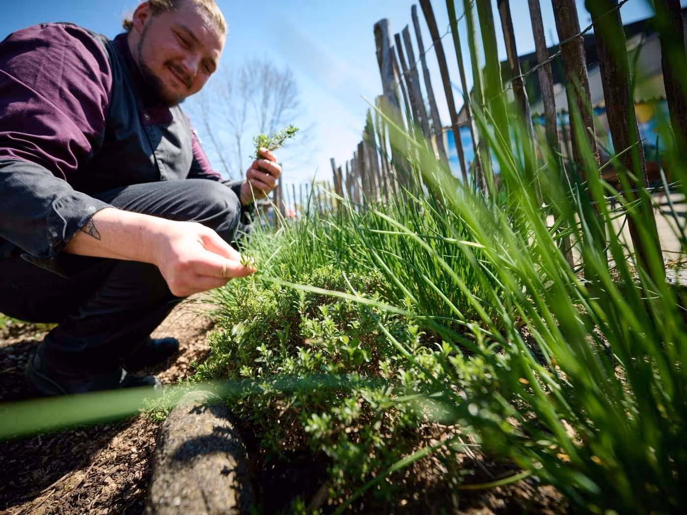 jardin d'herbes aromatiques