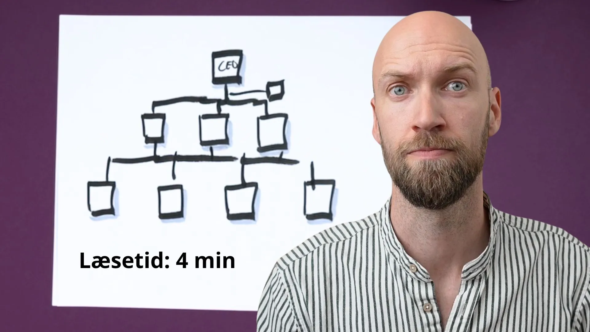 Mand beskriver organisations diagram