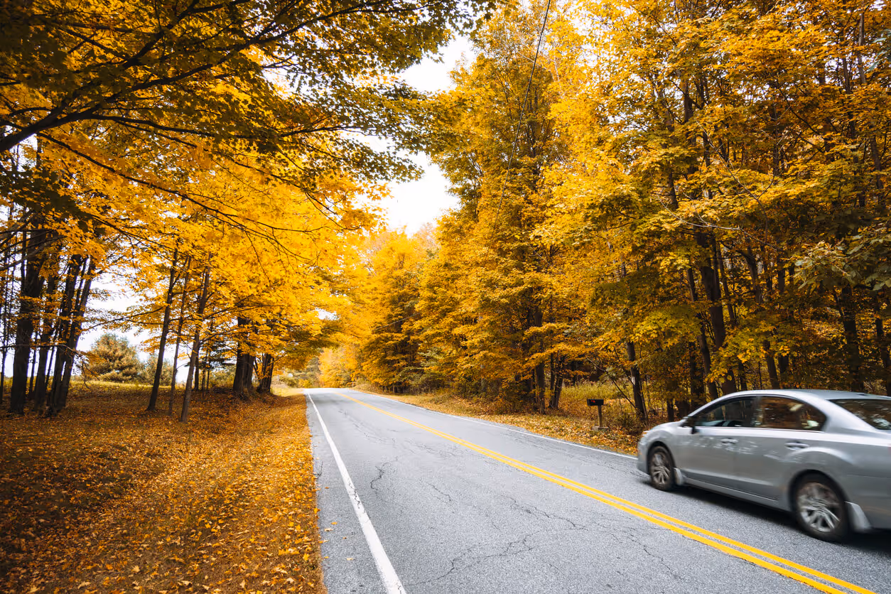 car driving in autumnal road in new hampshire