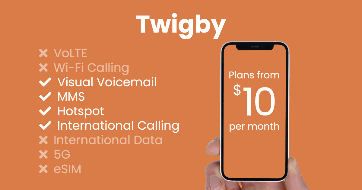 Twigby plan features and starting price