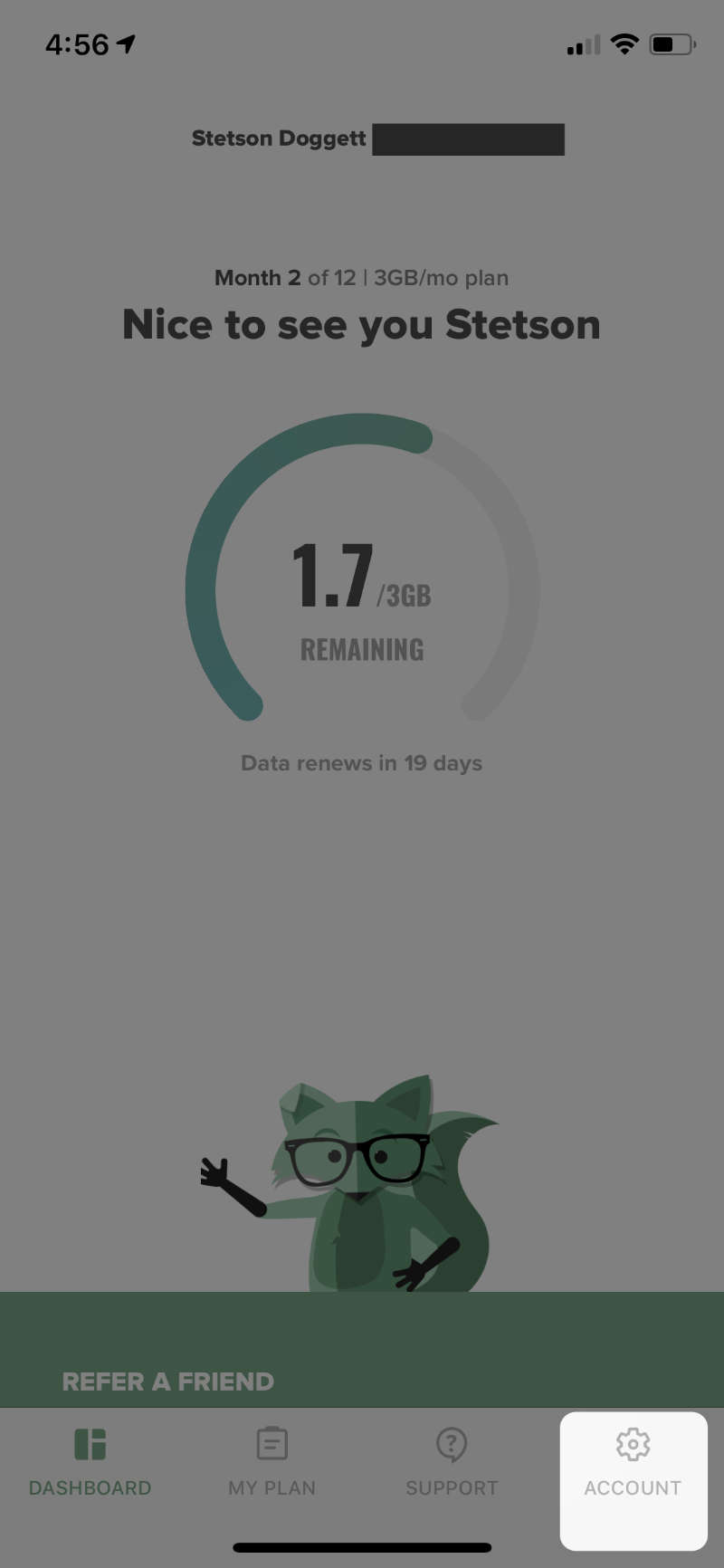 Mint Mobile application dashboard