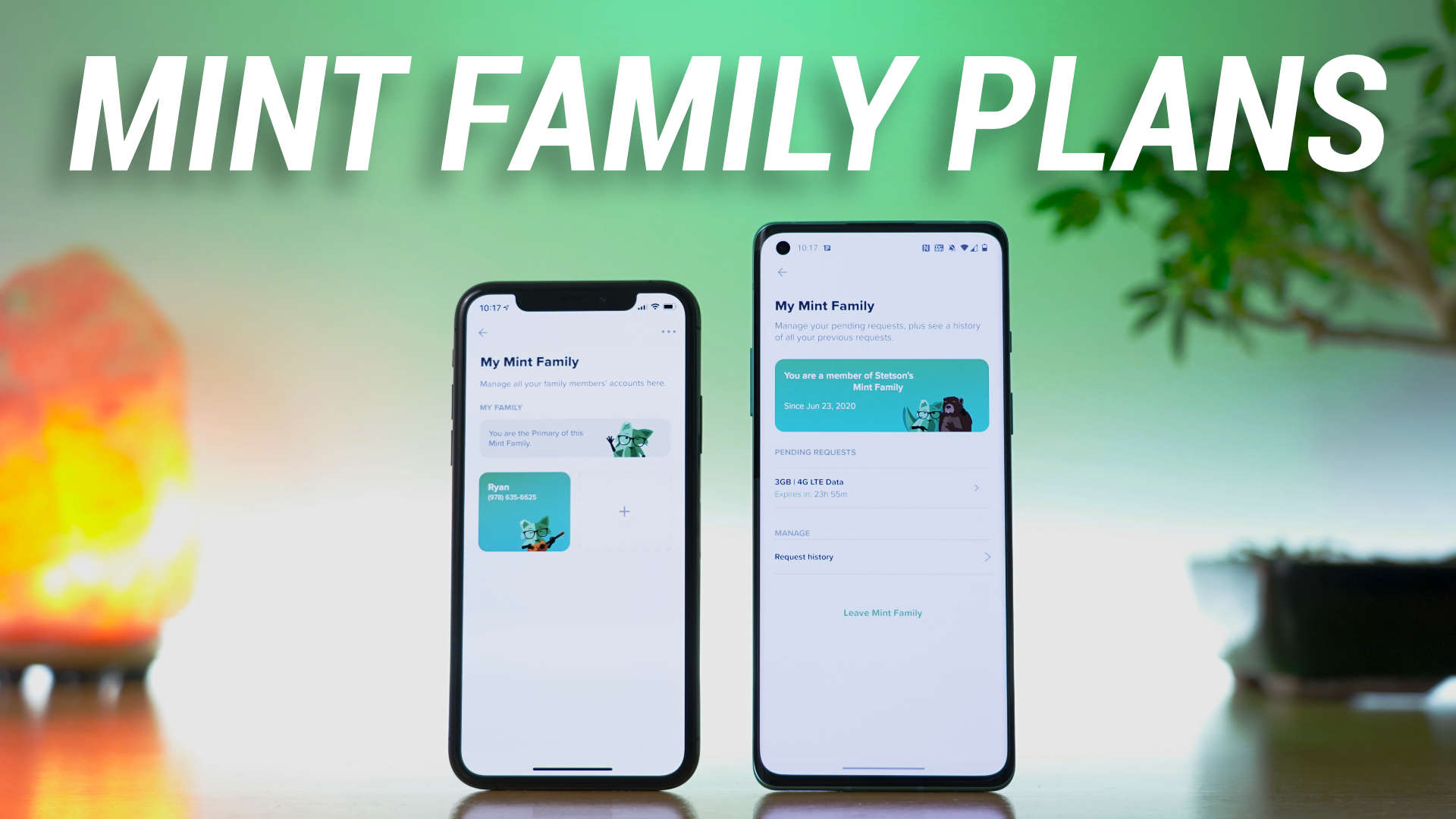 Mint Mobile family plan section of application