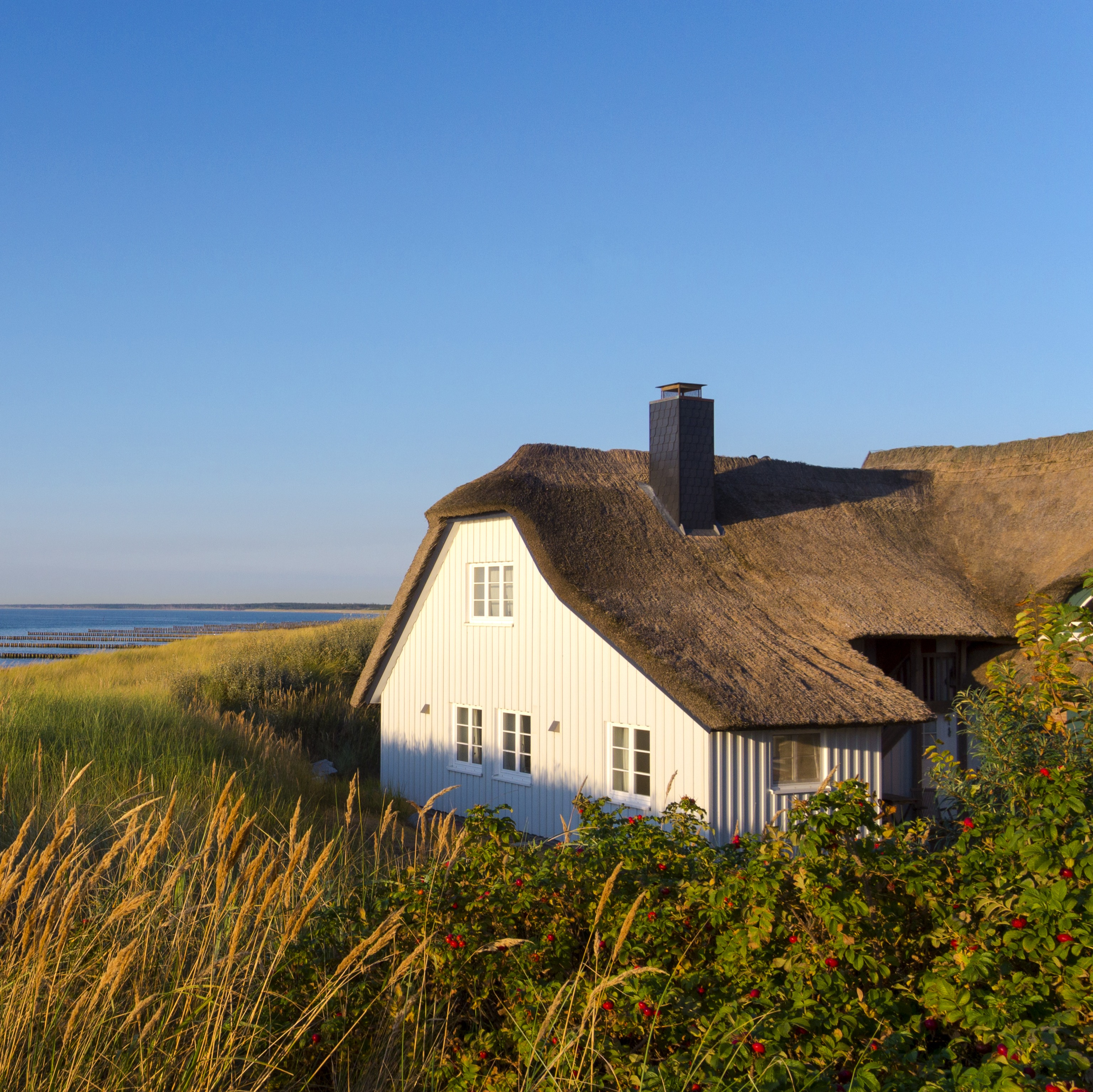 Darß-Zingst - Naturschatz der Ostsee