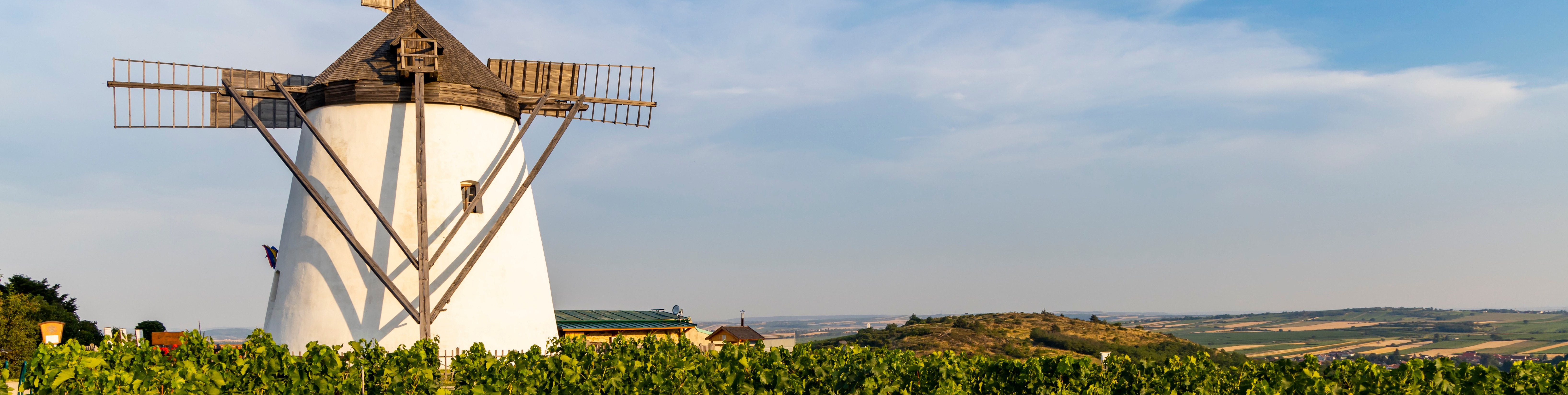 Windmühle Retz (einfache Lizenz)