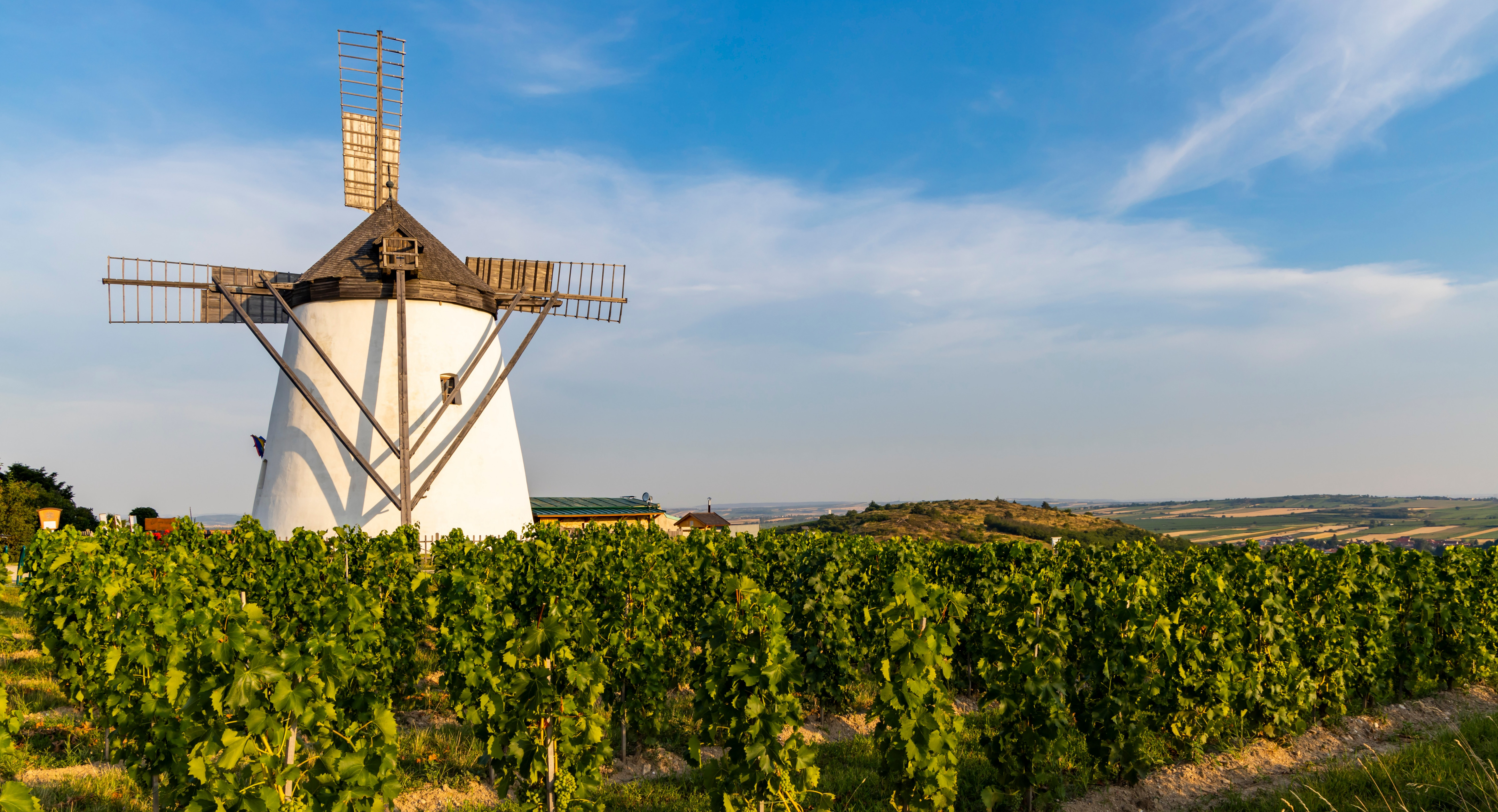 Windmühle Retz (einfache Lizenz)