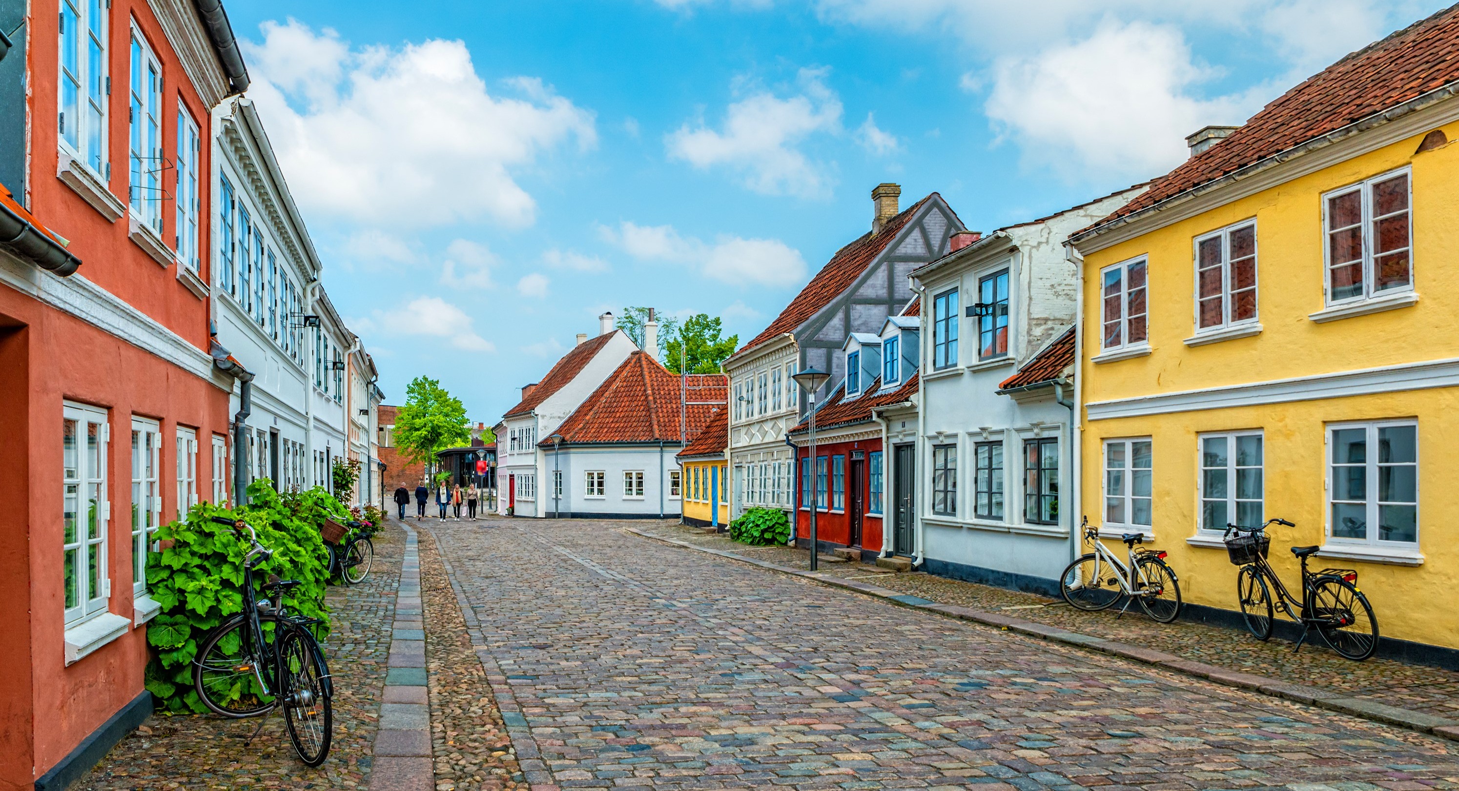 Odense (einfache Lizenz)