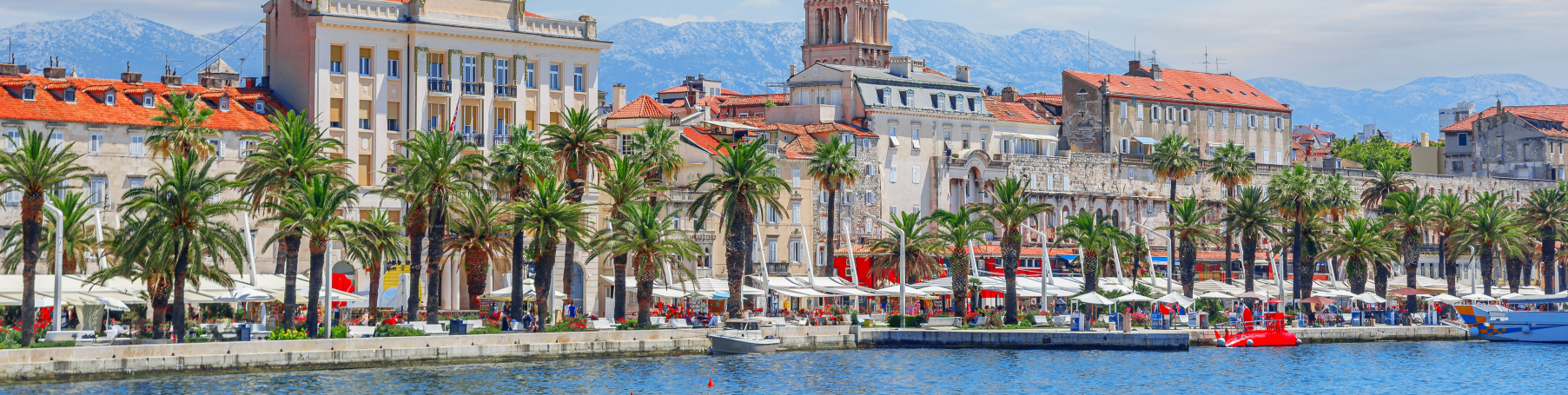 Split (einfache Lizenz)