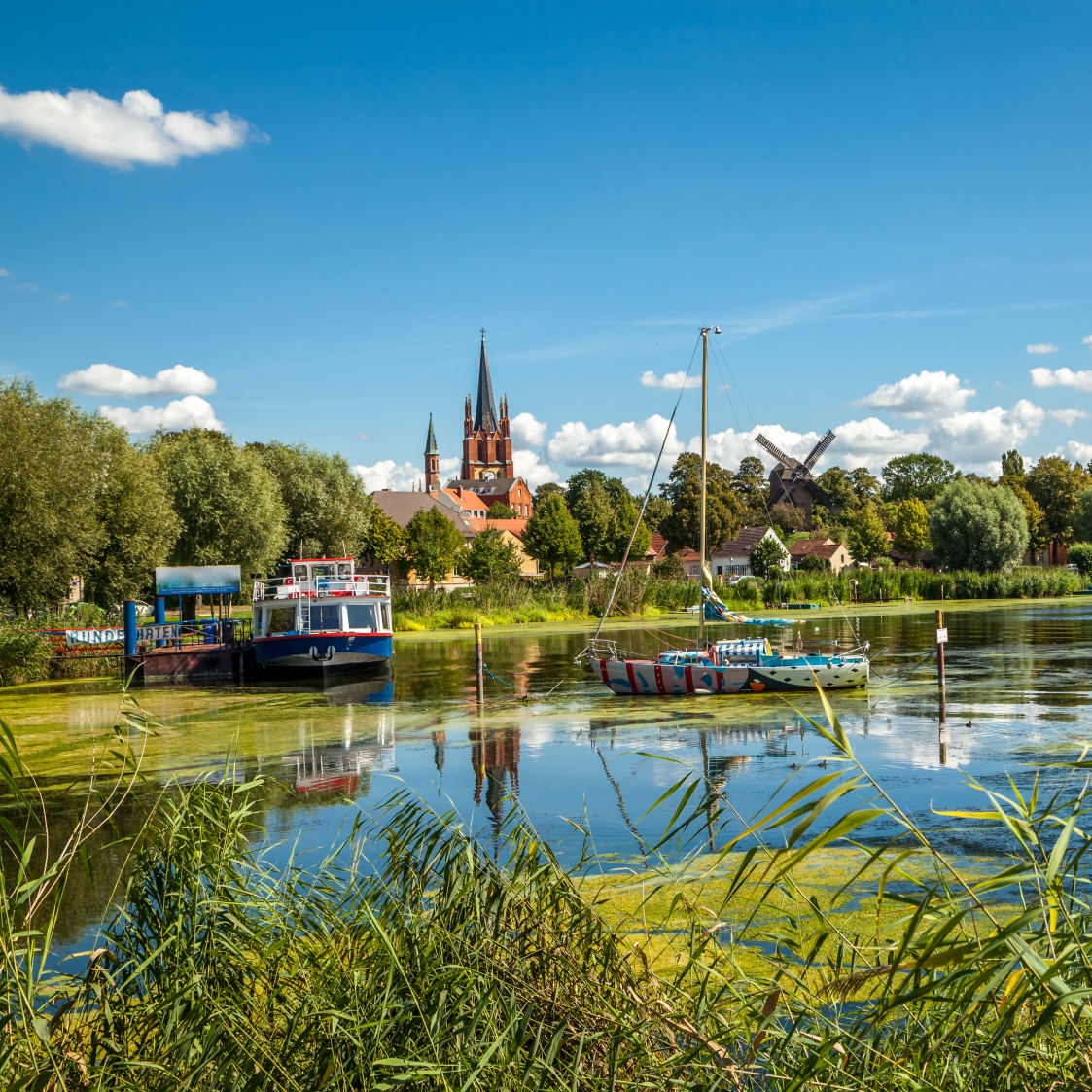 Weder (einfache Lizenz)