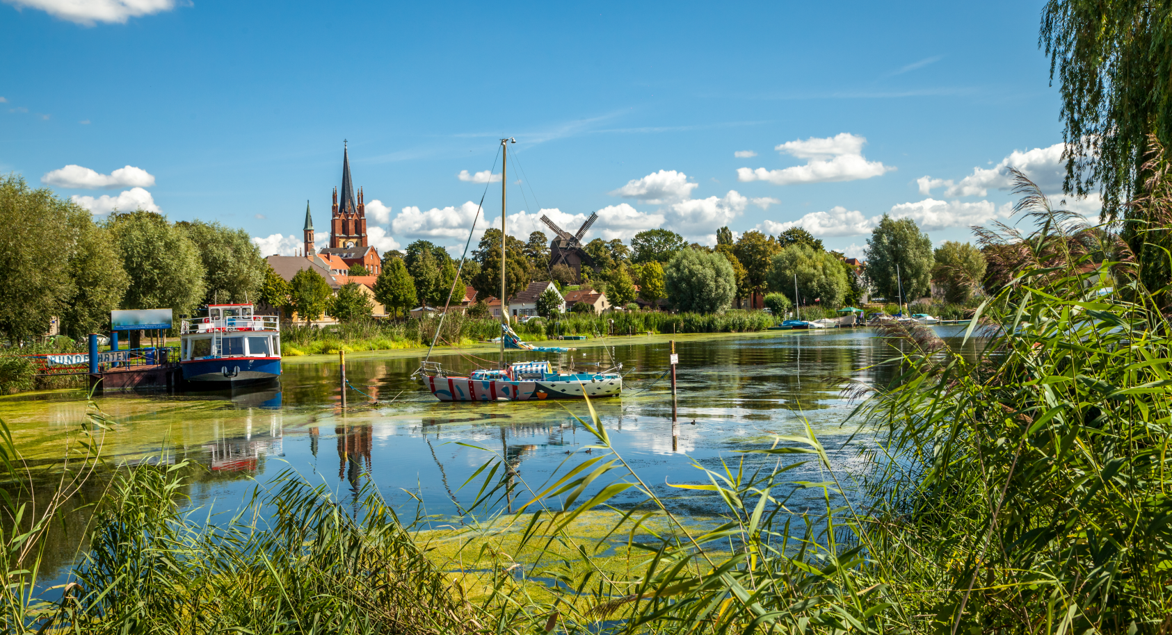 Weder (einfache Lizenz)