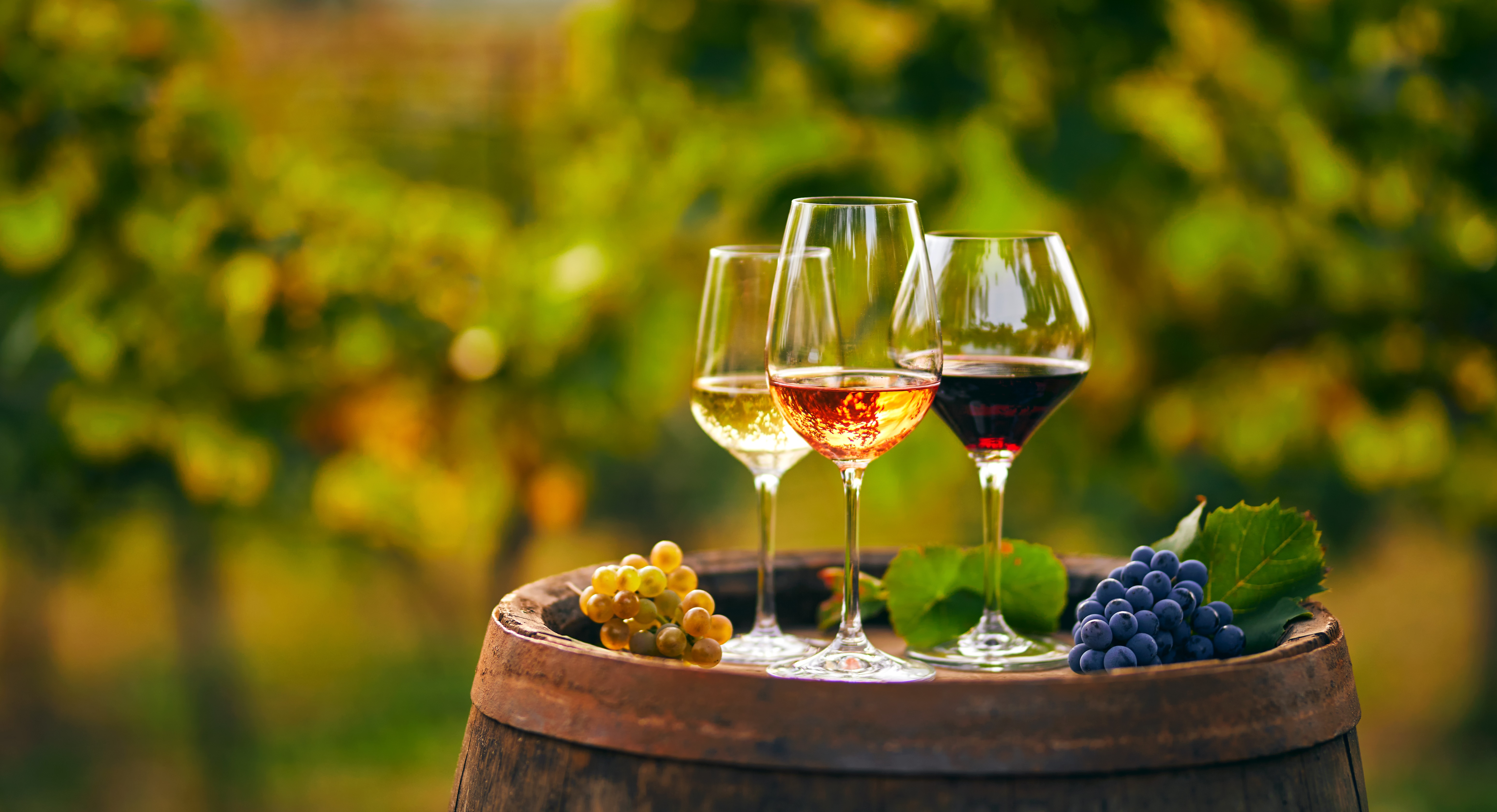 Weinverkostung (einfache Lizenz)