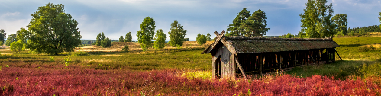Naturparadies voller Farben
