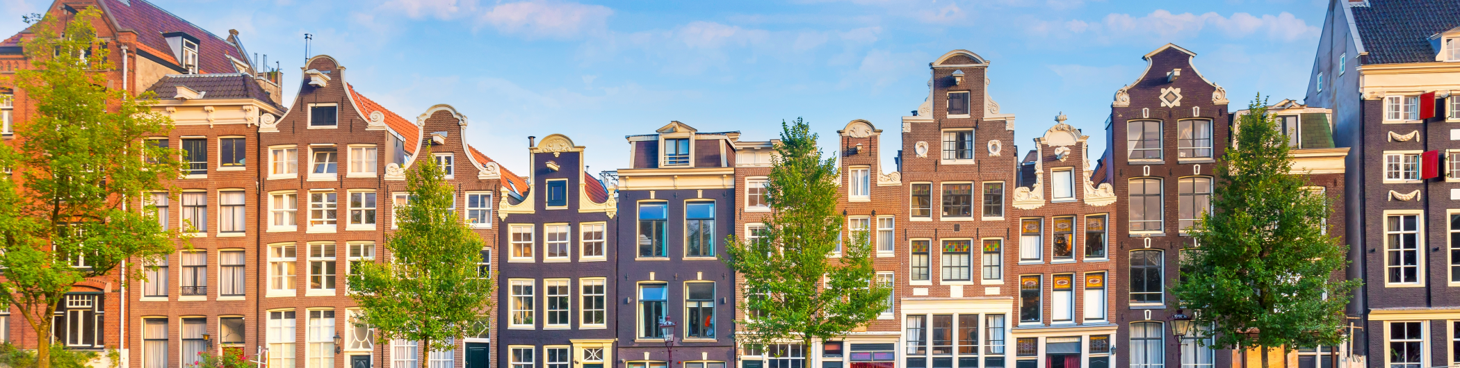 Historische Städte & blühende Landschaften