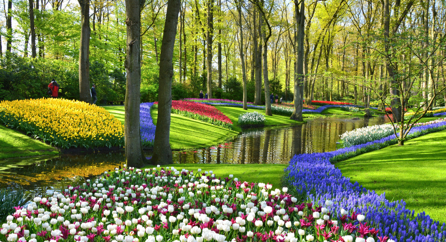 Keukenhof (einfache Lizenz)