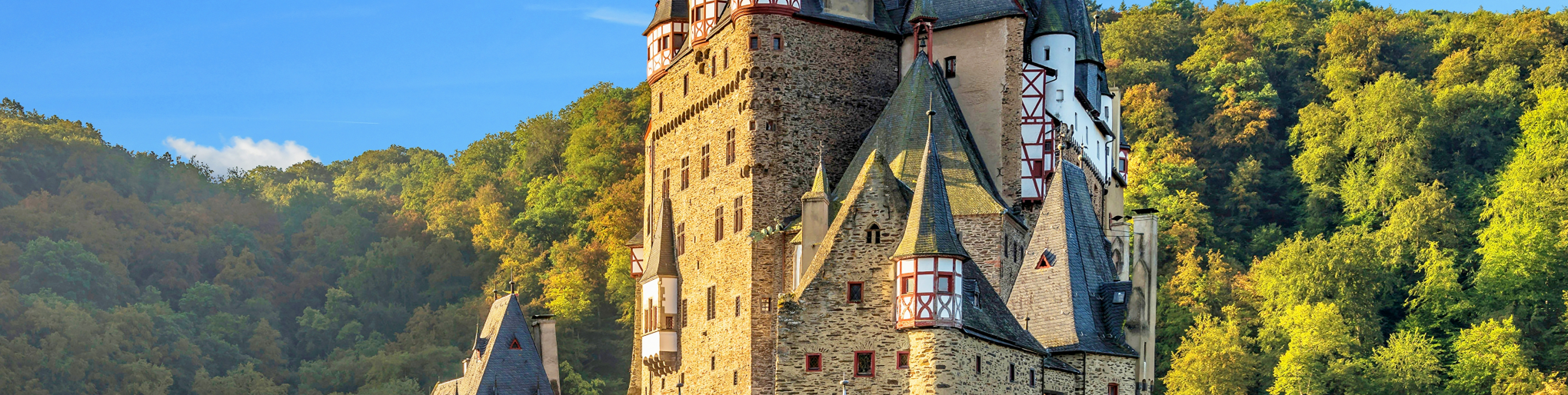 Pfalz - Burgen, Wein & Geschichte