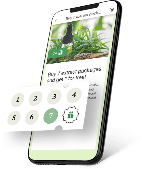 Glue Loyalty interface, which offers points, tiers, punch cards, and hybrid loyalty structures.