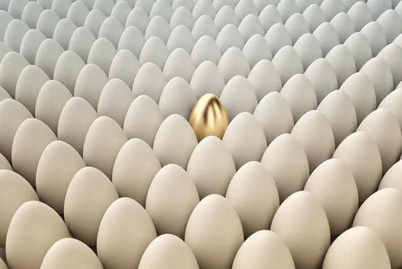 why do loyalty programs fail