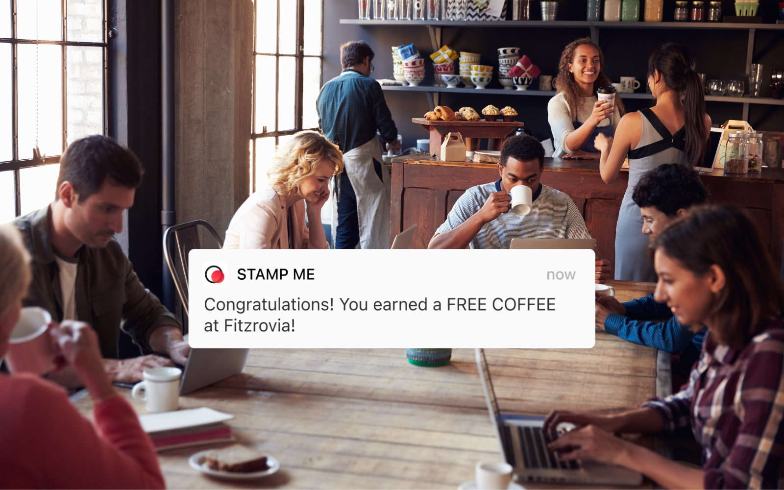 Digital loyalty program dashboard showing automated campaigns for multi-location restaurant business