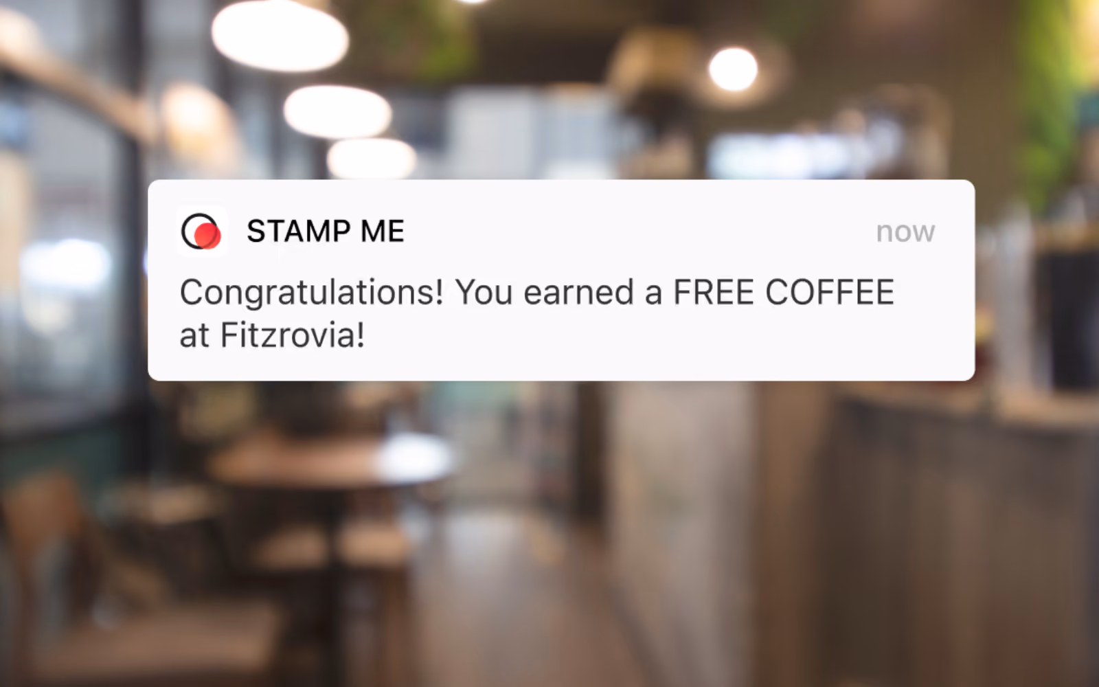 A retail customer checking their loyalty rewards points balance on a smartphone at the checkout counter, showing how digital loyalty programs make reward tracking easy and visible.