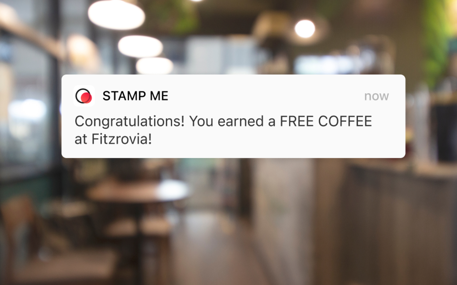 A retail customer checking their loyalty rewards points balance on a smartphone at the checkout counter, showing how digital loyalty programs make reward tracking easy and visible.