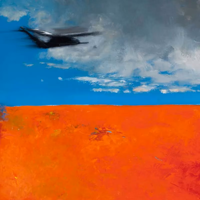 Pavehawk Solo, diptych