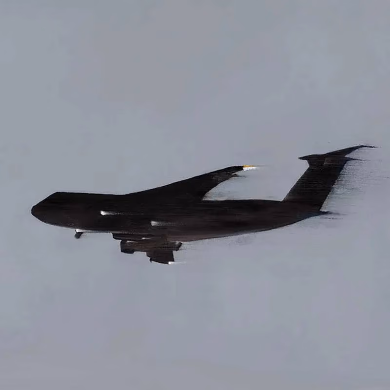 Precious Cargo (C-5 Galaxy)