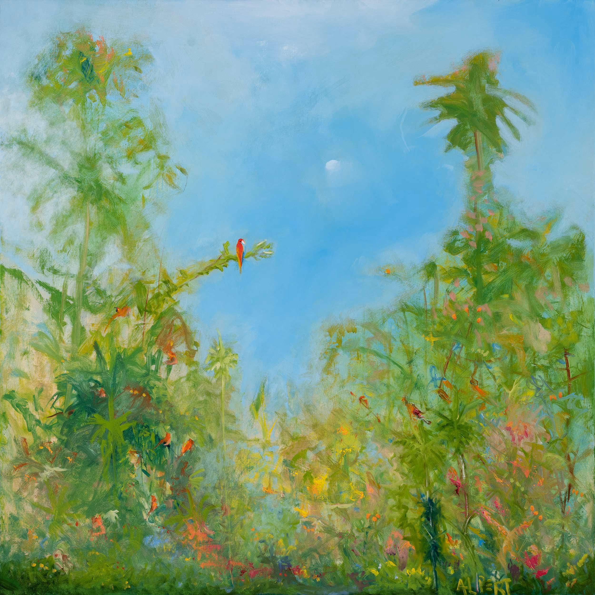 Parrott II